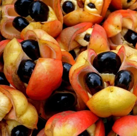 Ackee