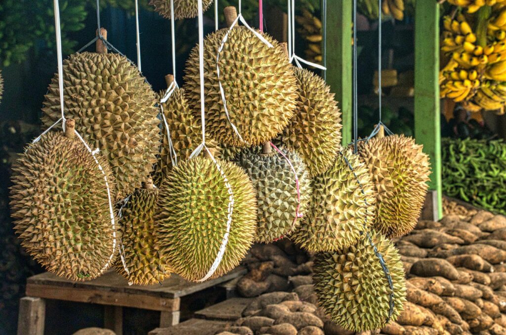 durian