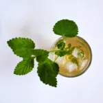 Lemon Balm Recipe