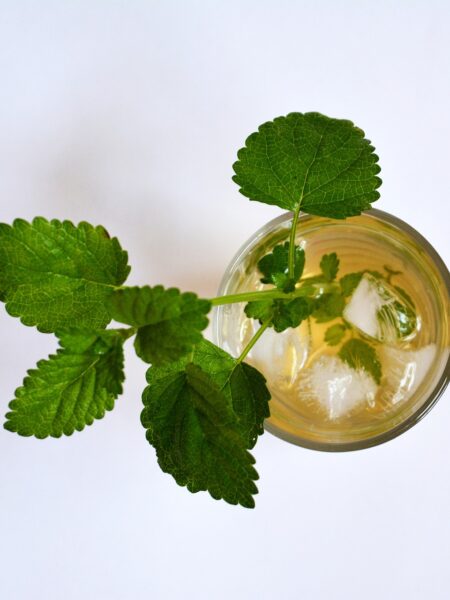 Lemon Balm Recipe